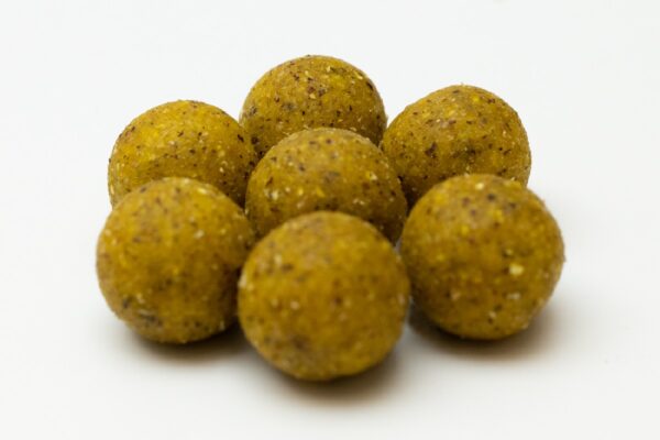 Fish Budget Boilies 20mm 10kg Scopex