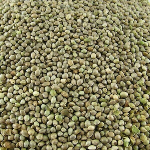 Hennep 15kg