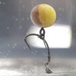 Top 5 Pop Up Rigs voor Karpervissen
