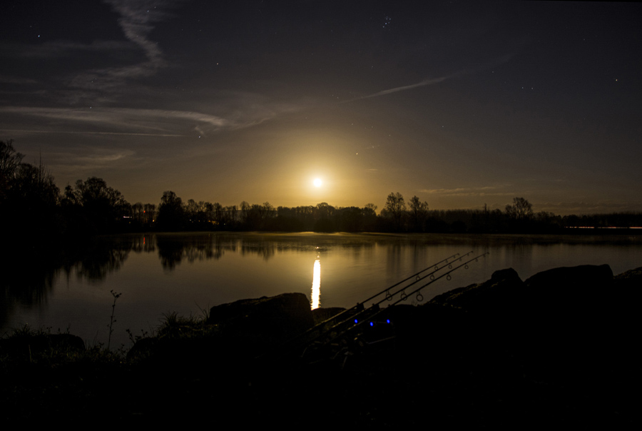 Carp-Fishing-at-Night Beginnersgids voor Nachtvissen: Essentiële Uitrusting en Tips