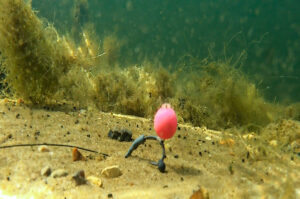 Shot_On_The_Hook_rig