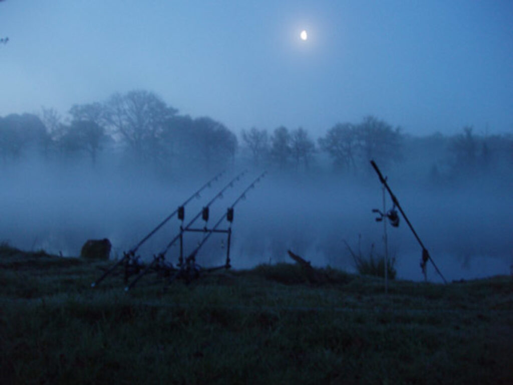 full-moon-1024x768 Karpervissen: 10 Hardnekkige Mythen Ontkracht