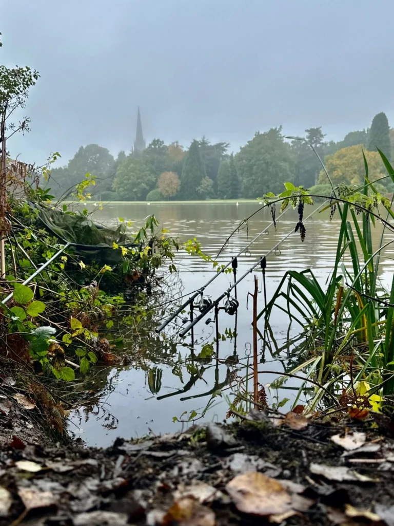 herfst-768x1024 KARPERS VANGEN IN DE HERFST – DIT MOET JE WETEN